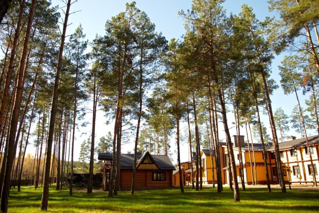 Carivka Hotel Tsarivka